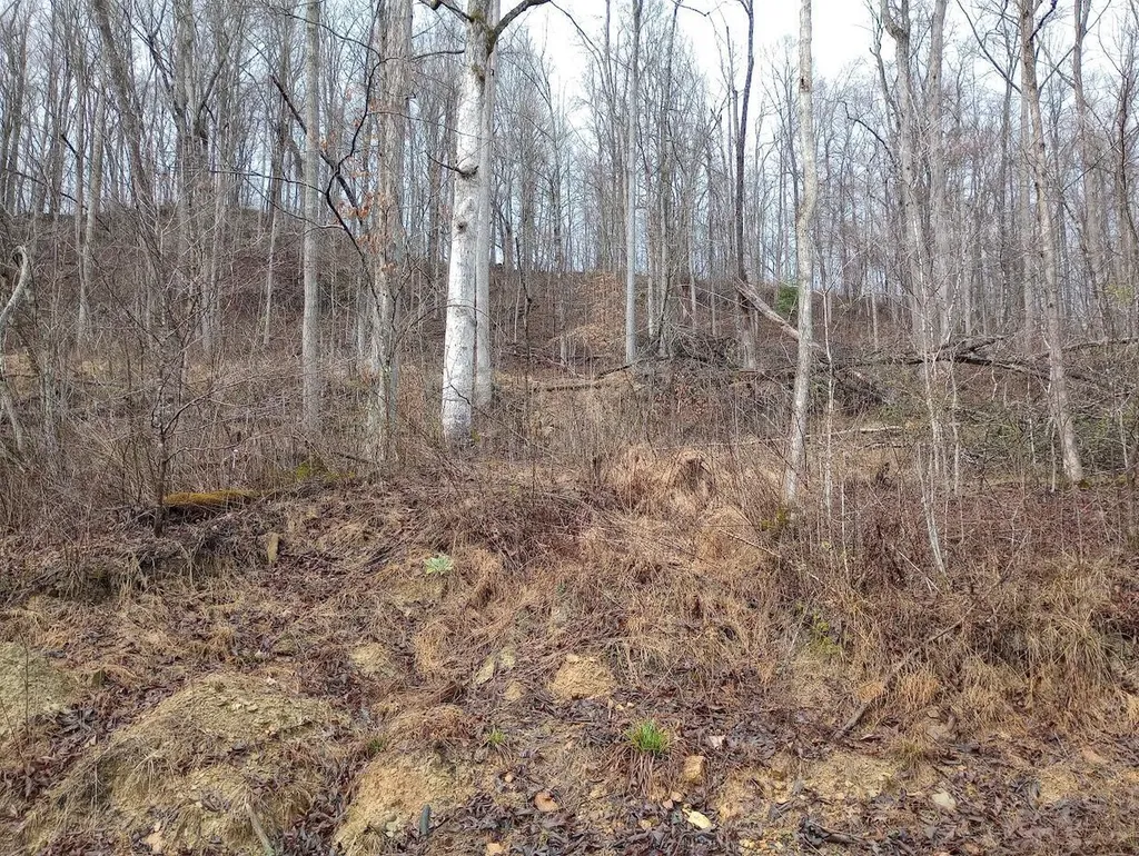 0 S Fork Road Stanton KY 40380