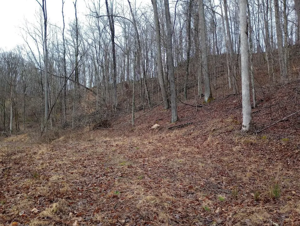 0 S Fork Road Stanton KY 40380