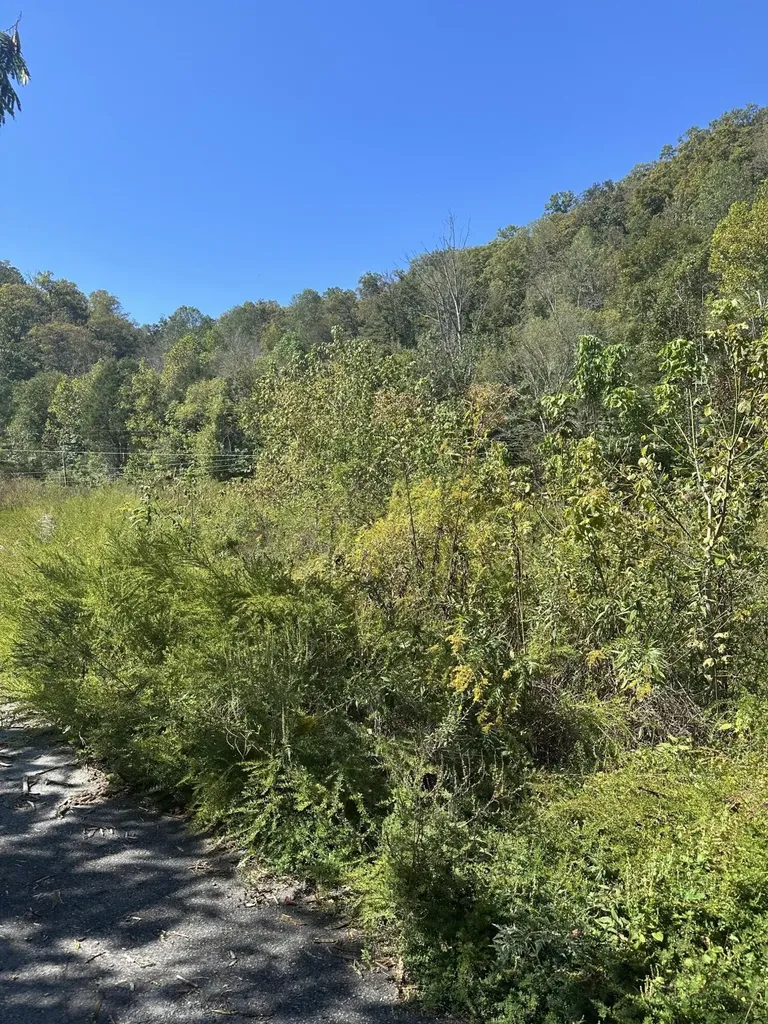 0 Ky-11 Manchester KY 40962