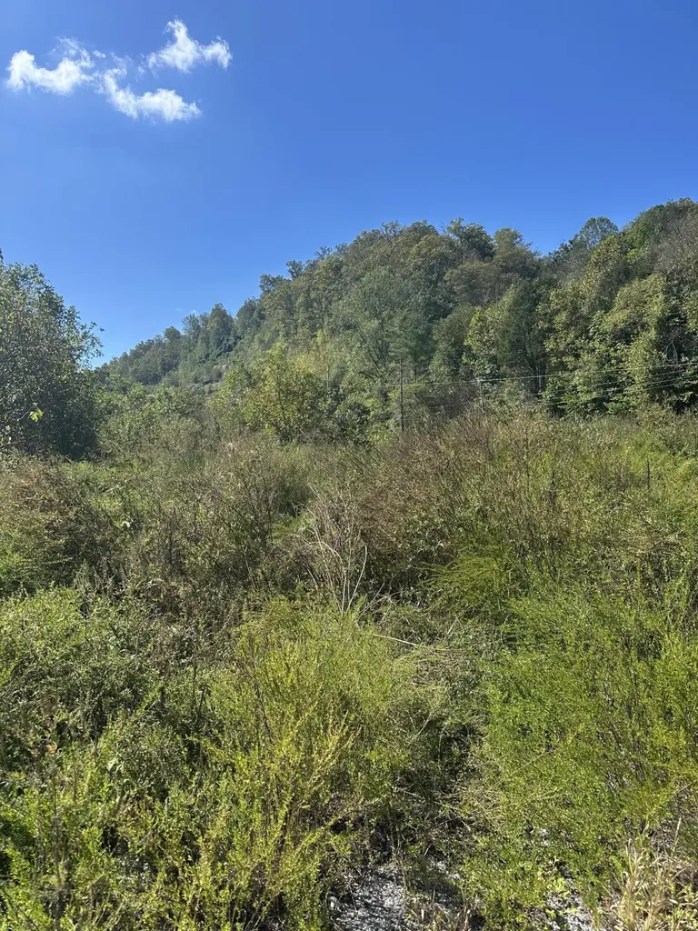 0 Ky-11 Manchester KY 40962