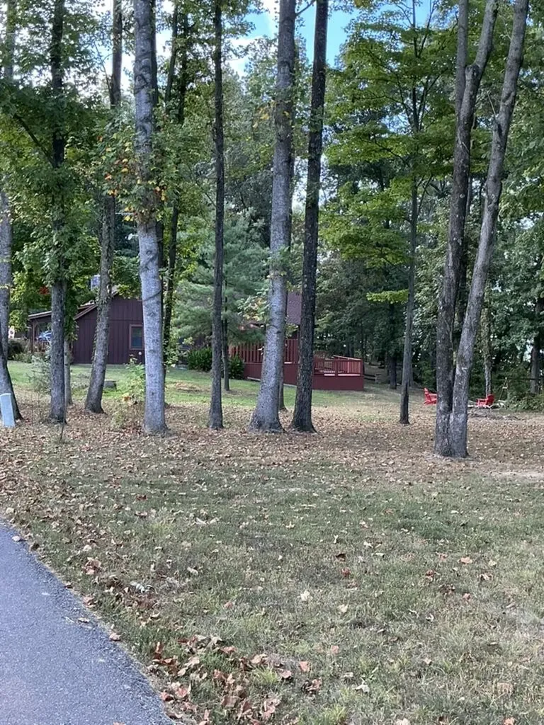 221 S Lake Bluff Lane Scottsville KY 42164