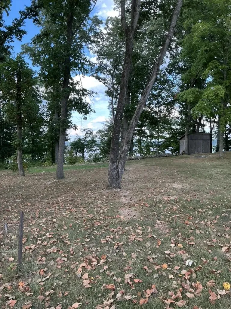 221 S Lake Bluff Lane Scottsville KY 42164