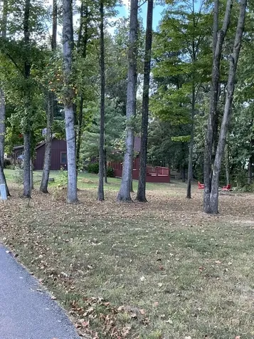 221 S Lake Bluff Lane Scottsville KY 42164