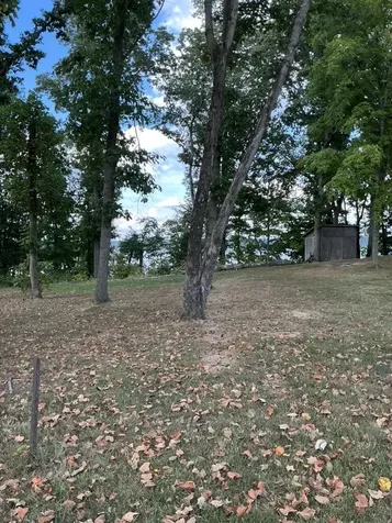 221 S Lake Bluff Lane Scottsville KY 42164