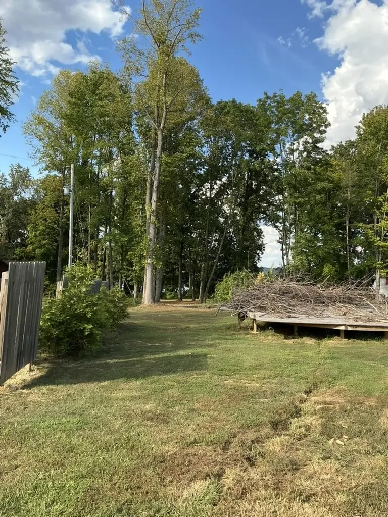 186 S Lake Bluff Lane Scottsville KY 42164