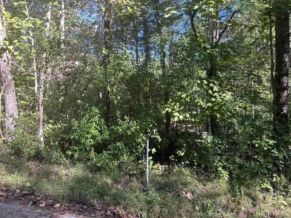 120 Saxony Court Burnside KY 42519