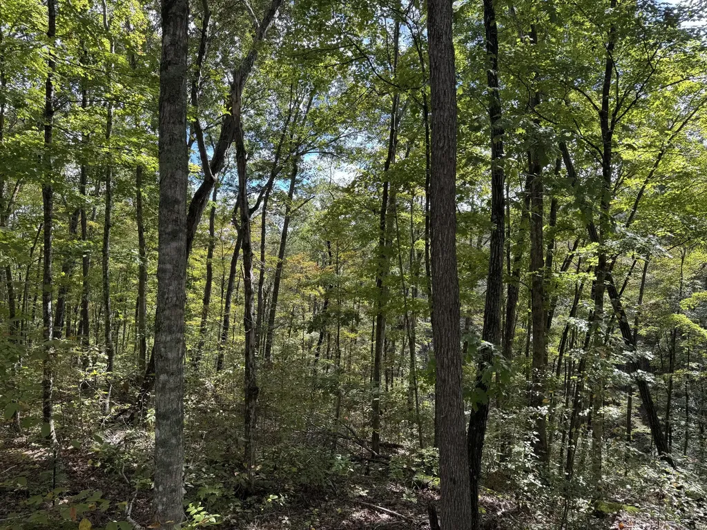 Lot 87, 88, 89 Sandstone Point Trail Monticello KY 42633