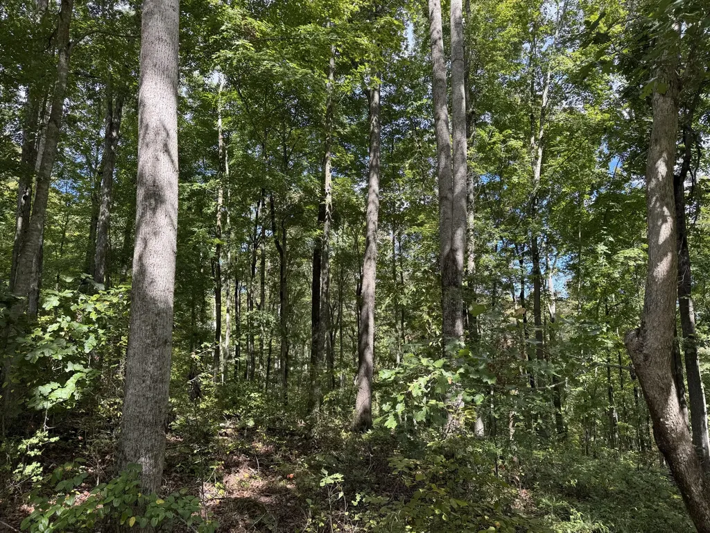 Lot 87, 88, 89 Sandstone Point Trail Monticello KY 42633