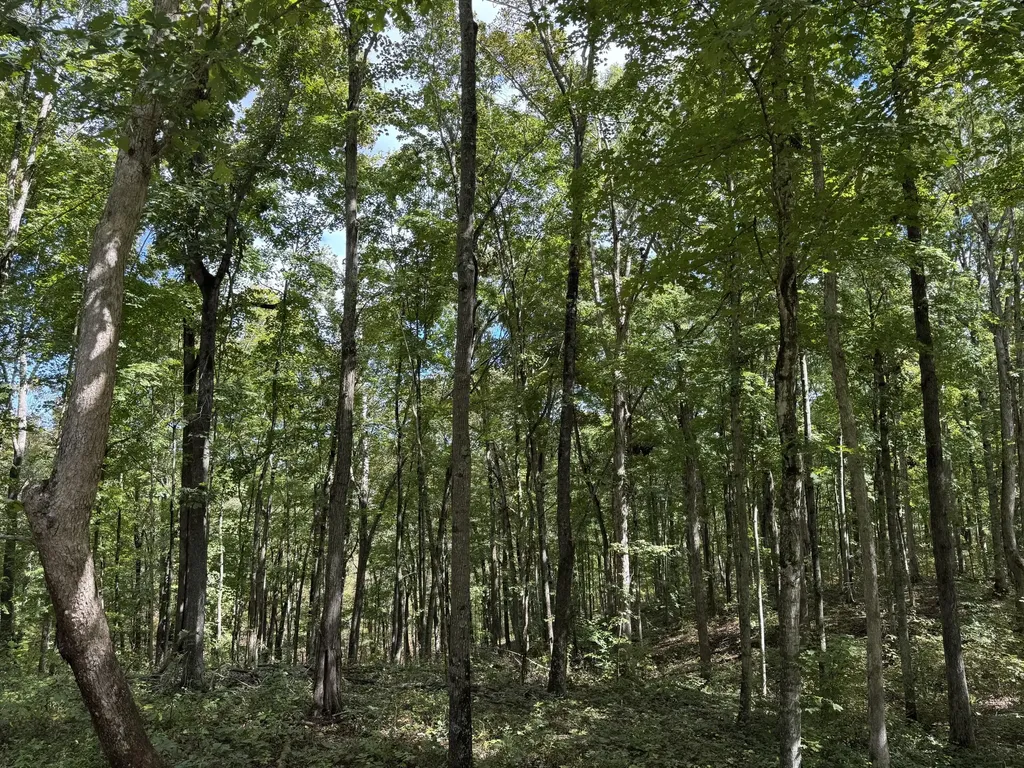 Lot 87, 88, 89 Sandstone Point Trail Monticello KY 42633