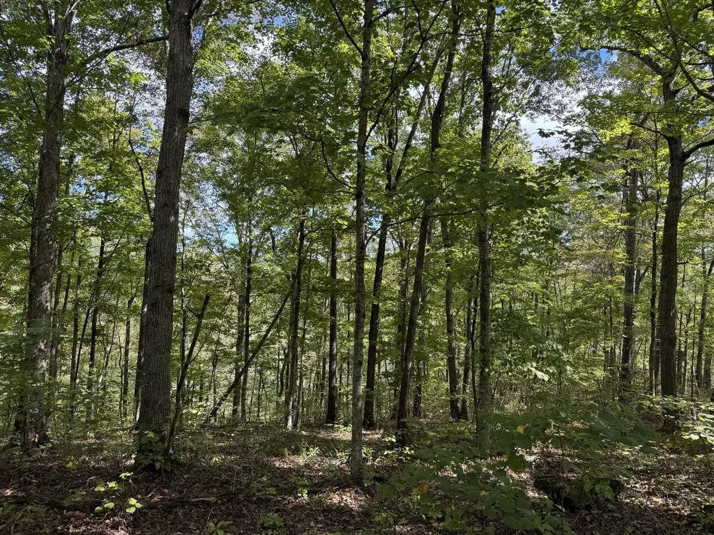 Lot 84, 85, 86 Sandstone Point Trail Monticello KY 42633