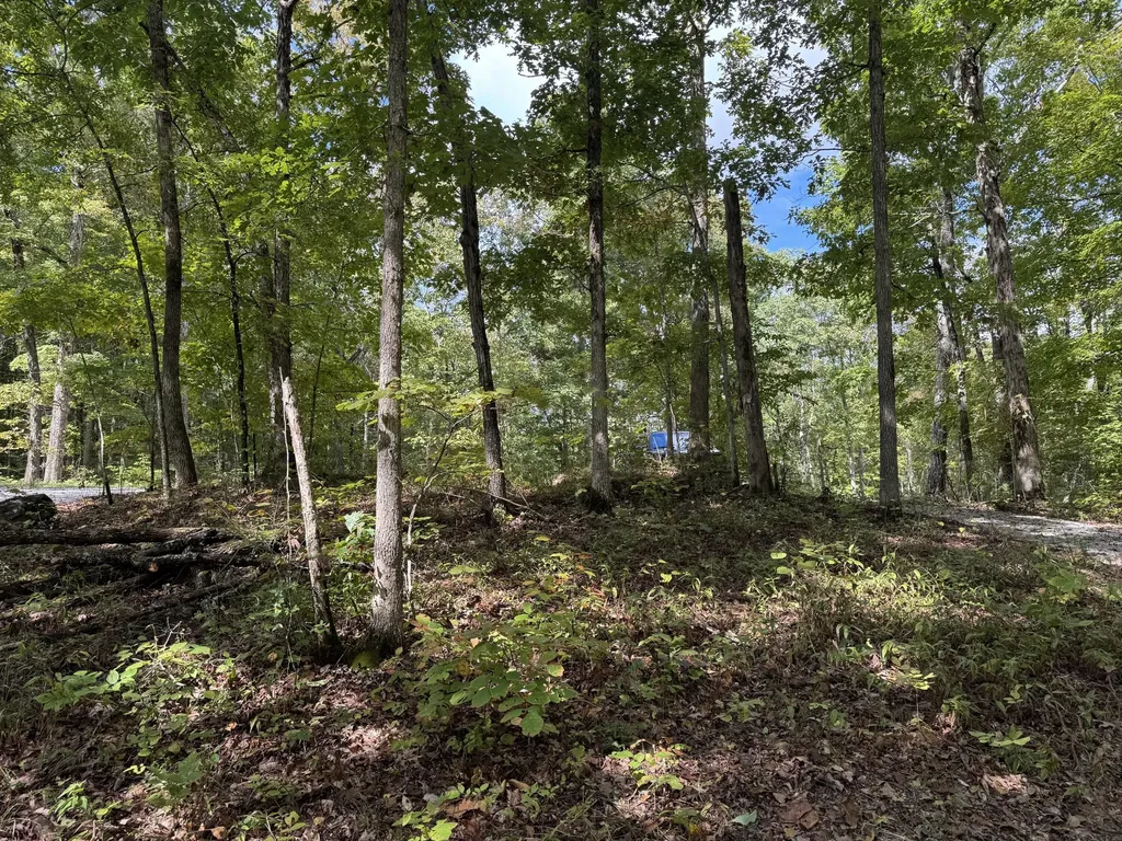 Lot 84, 85, 86 Sandstone Point Trail Monticello KY 42633