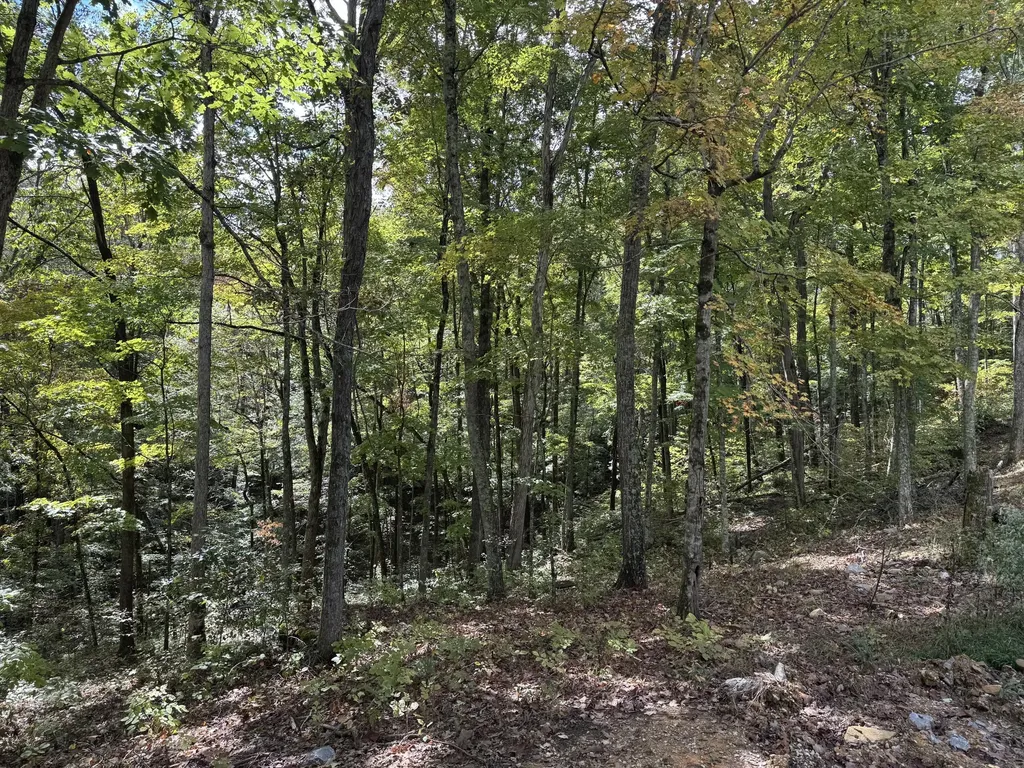 Lot 84, 85, 86 Sandstone Point Trail Monticello KY 42633