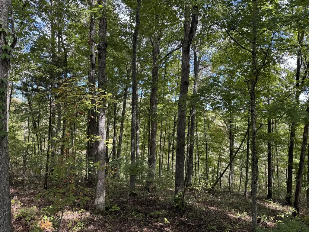 Lot 84, 85, 86 Sandstone Point Trail Monticello KY 42633