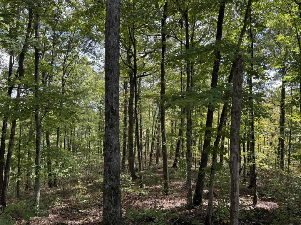 Lot 84, 85, 86 Sandstone Point Trail Monticello KY 42633
