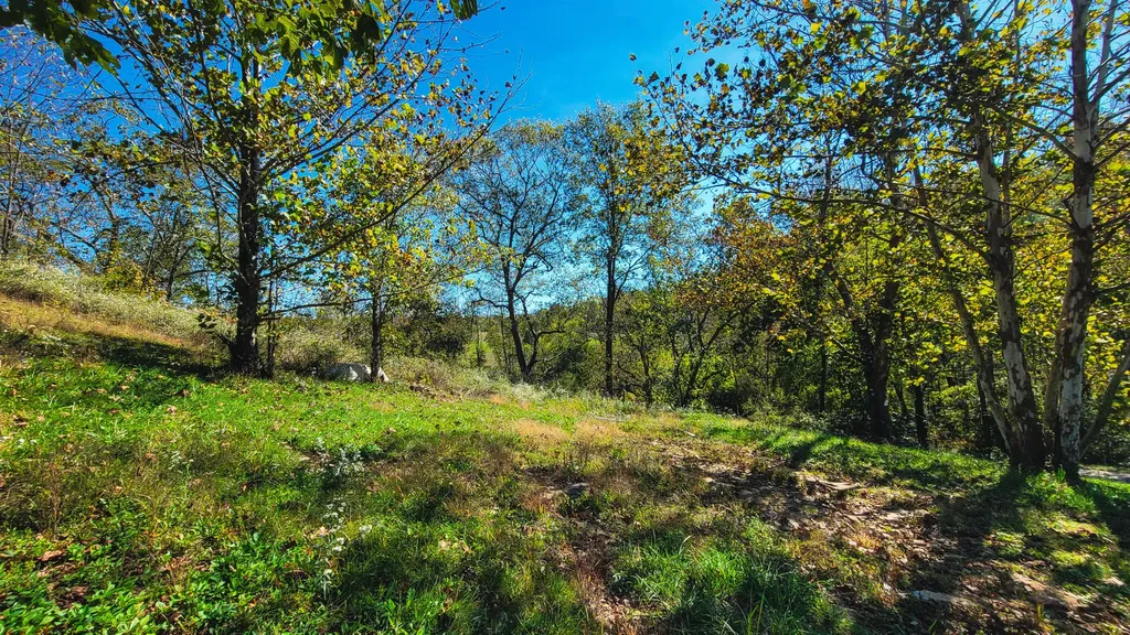 7950 Four Mile Road Winchester KY 40391