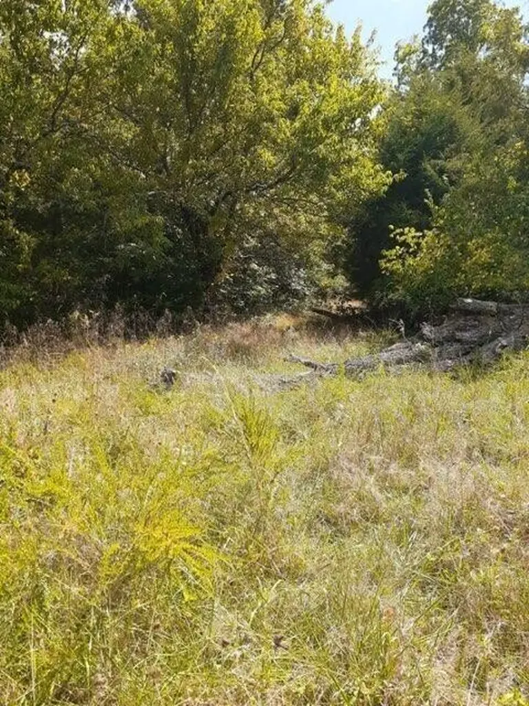 Lot 16 Apple Lane Cynthiana KY 41031
