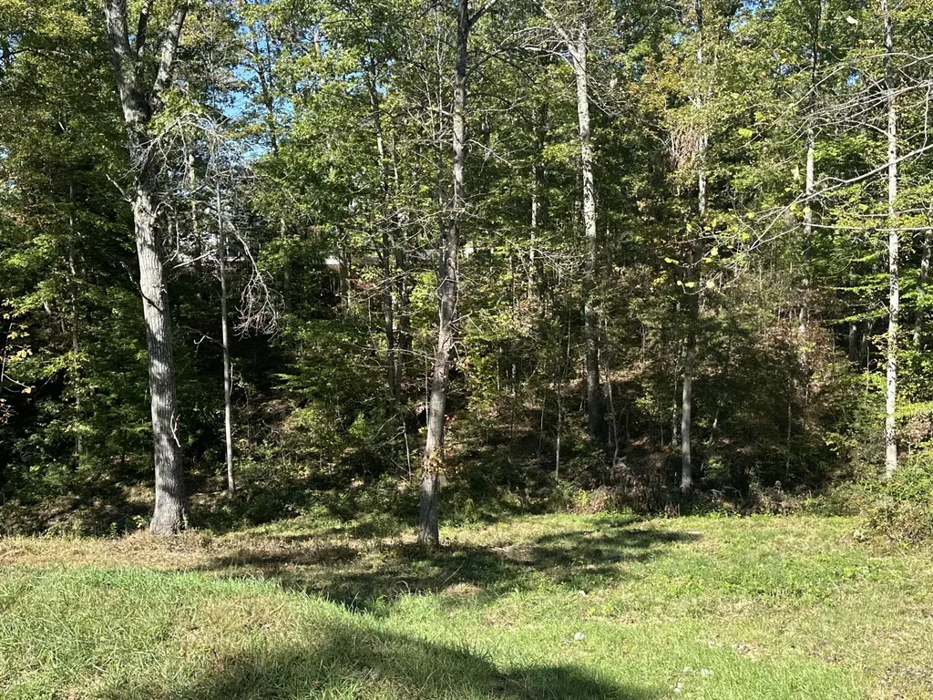 26 Cliffs Line Drive London KY 40741
