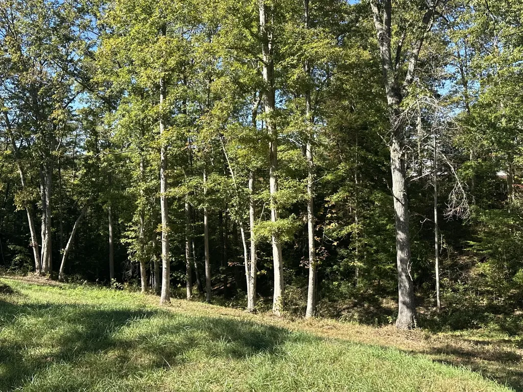 26 Cliffs Line Drive London KY 40741