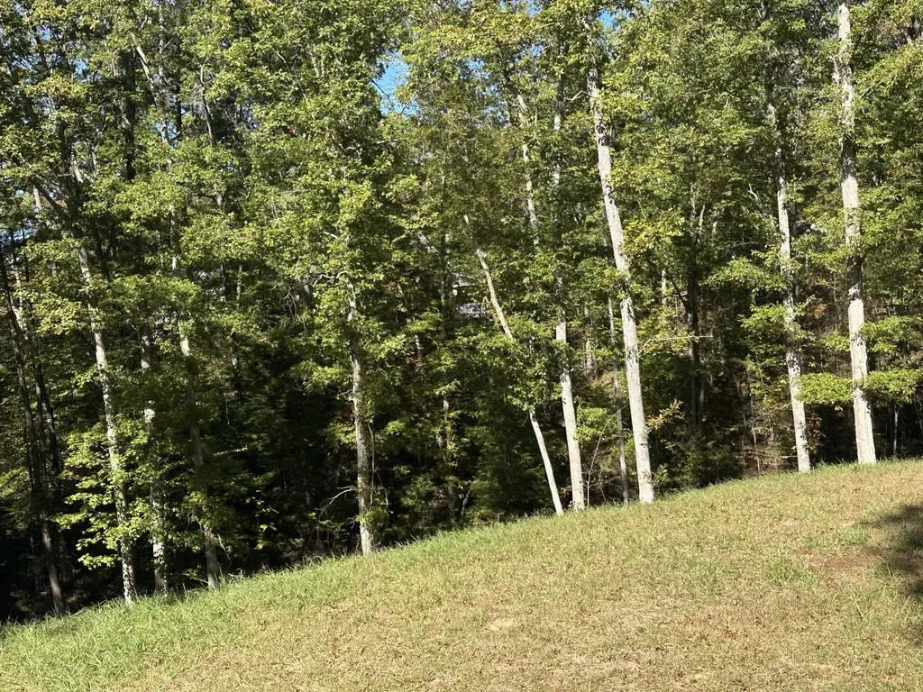 26 Cliffs Line Drive London KY 40741