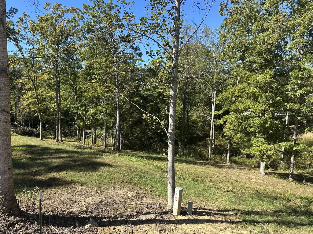 24 Cliff Line Drive London KY 40741
