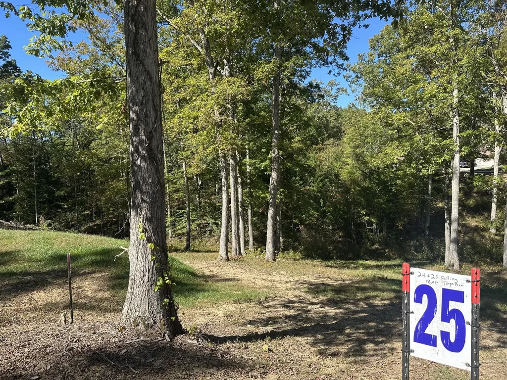 24 Cliff Line Drive London KY 40741