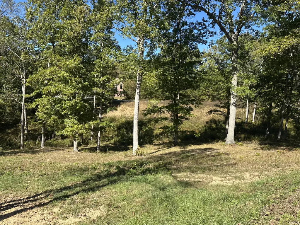 24 Cliff Line Drive London KY 40741