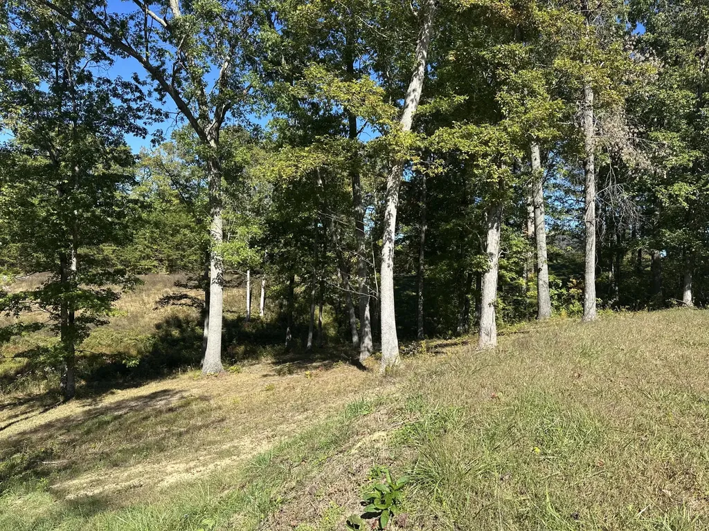 24 Cliff Line Drive London KY 40741
