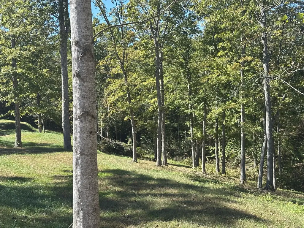 24 Cliff Line Drive London KY 40741