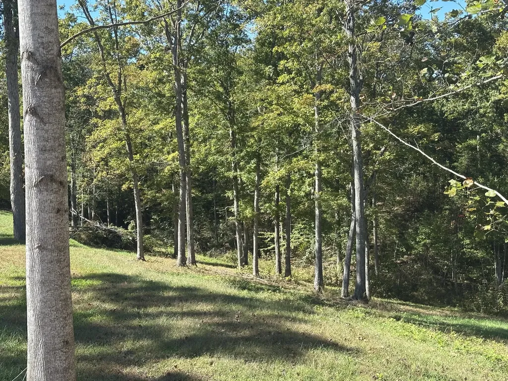 24 Cliff Line Drive London KY 40741