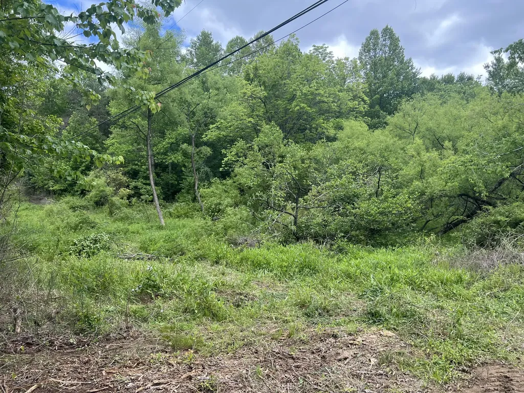 9999 Langnau Road London KY 40741