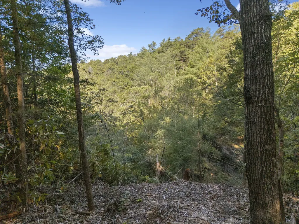 230 Eureka Road Zoe KY 41397