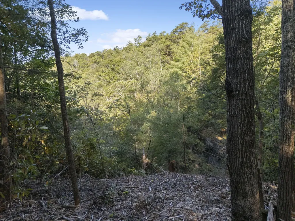 230 Eureka Road Zoe KY 41397
