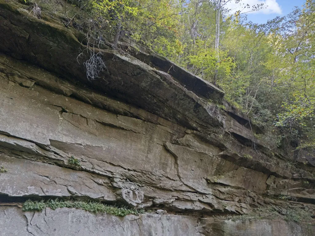 230 Eureka Road Zoe KY 41397