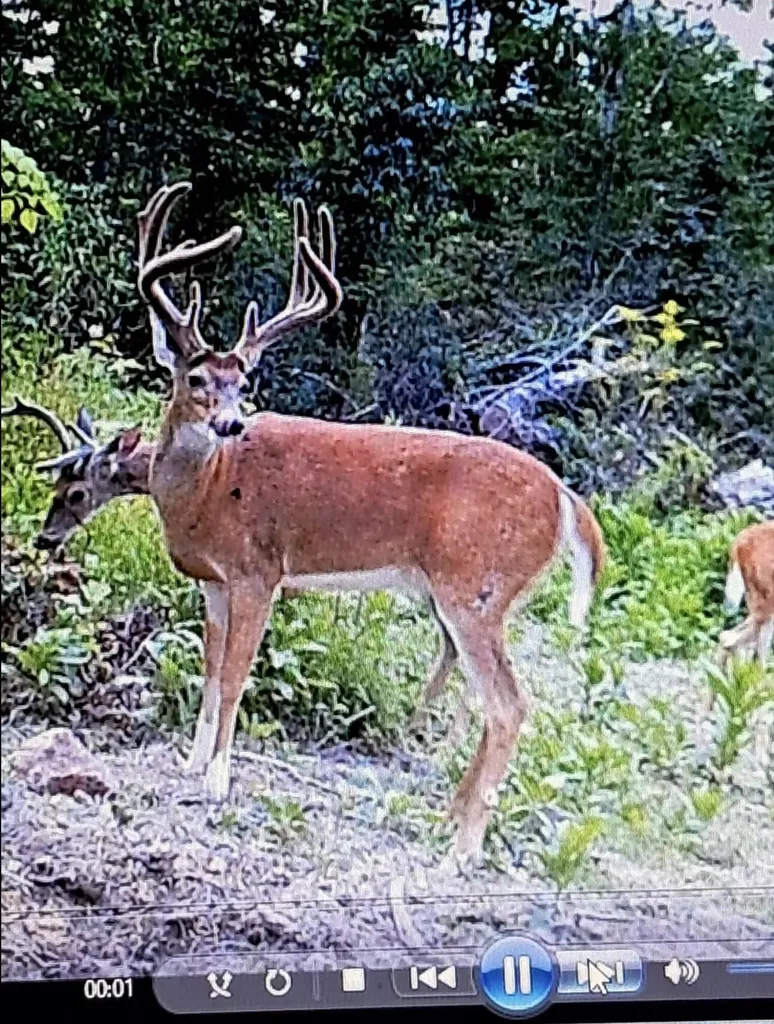 1105 Pendleton Branch Road Salt Lick KY 40371