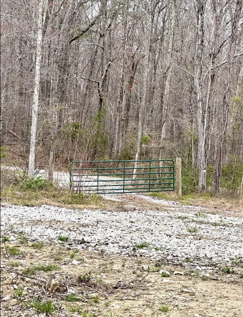 1105 Pendleton Branch Road Salt Lick KY 40371