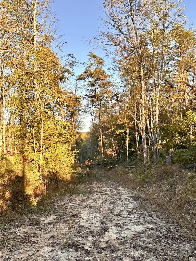 1105 Pendleton Branch Road Salt Lick KY 40371