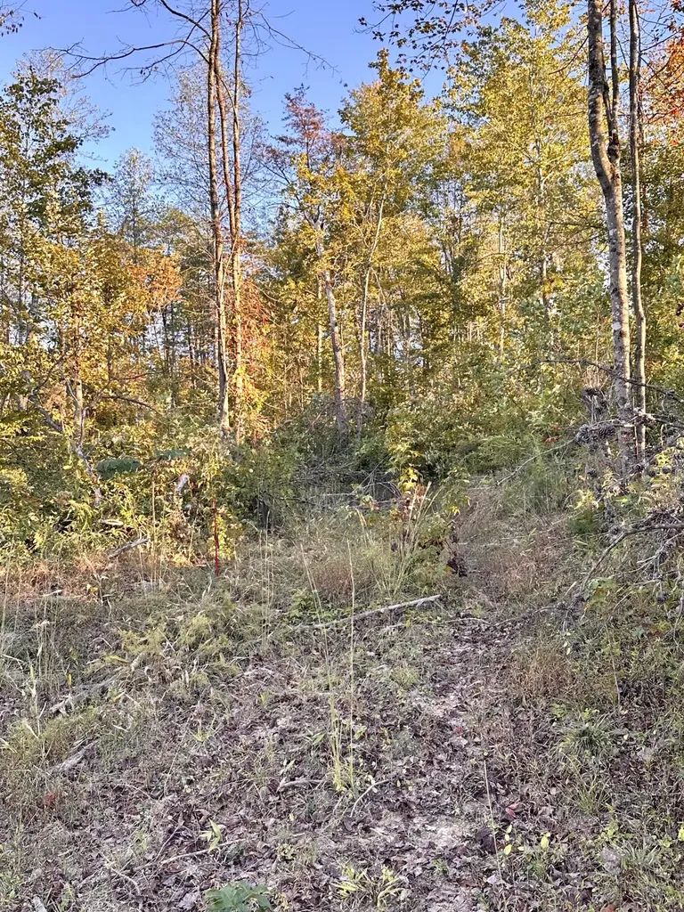 1105 Pendleton Branch Road Salt Lick KY 40371