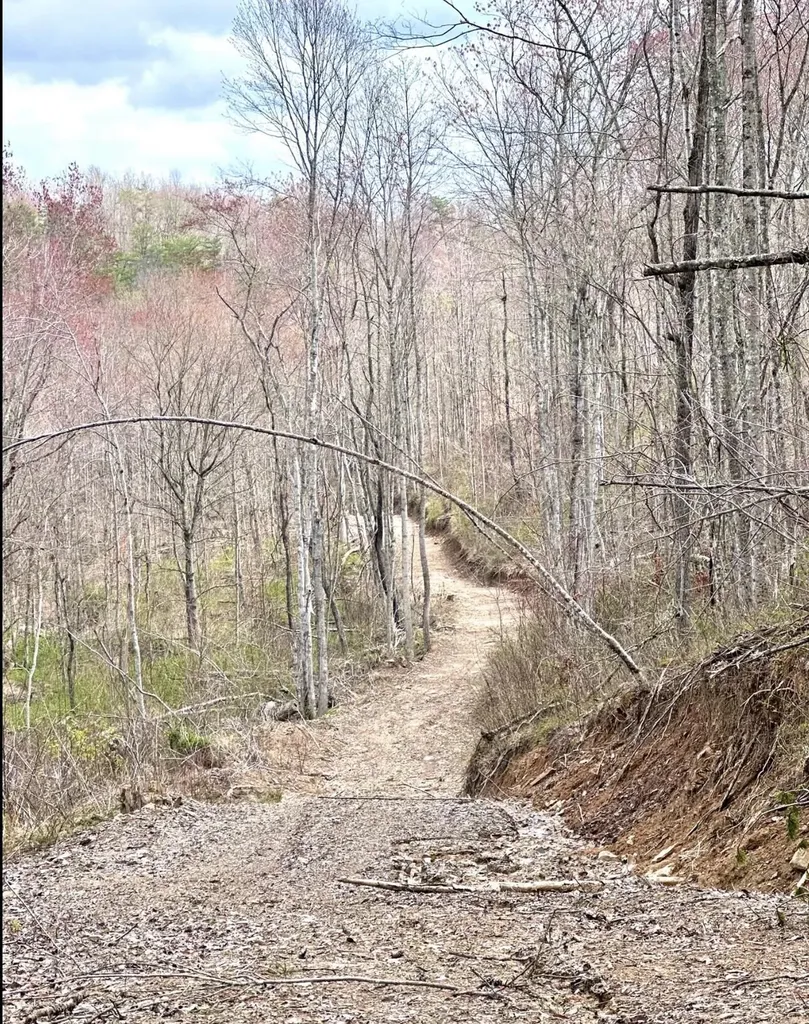1105 Pendleton Branch Road Salt Lick KY 40371