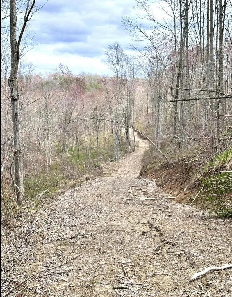 1105 Pendleton Branch Road Salt Lick KY 40371