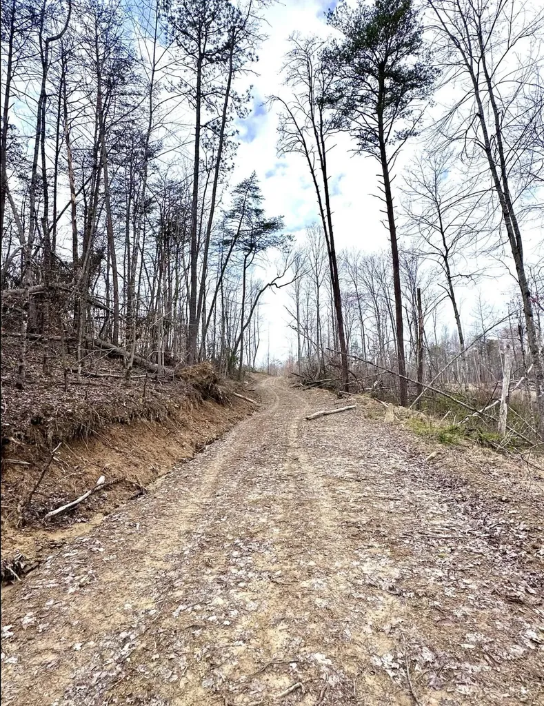 1105 Pendleton Branch Road Salt Lick KY 40371