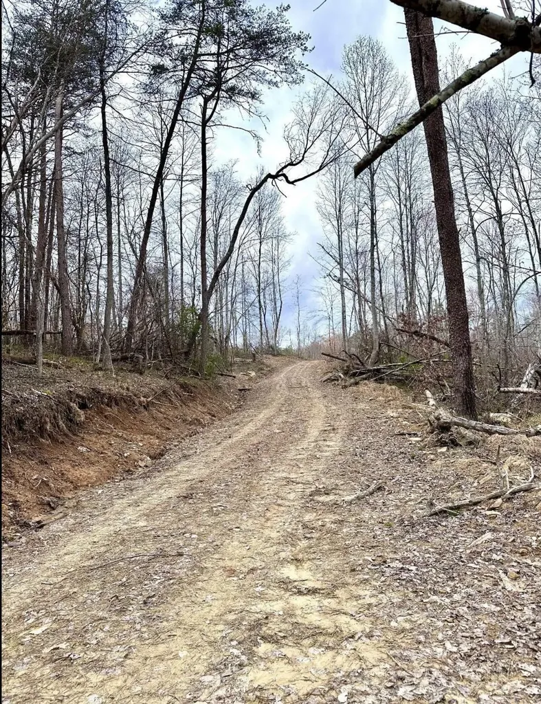 1105 Pendleton Branch Road Salt Lick KY 40371
