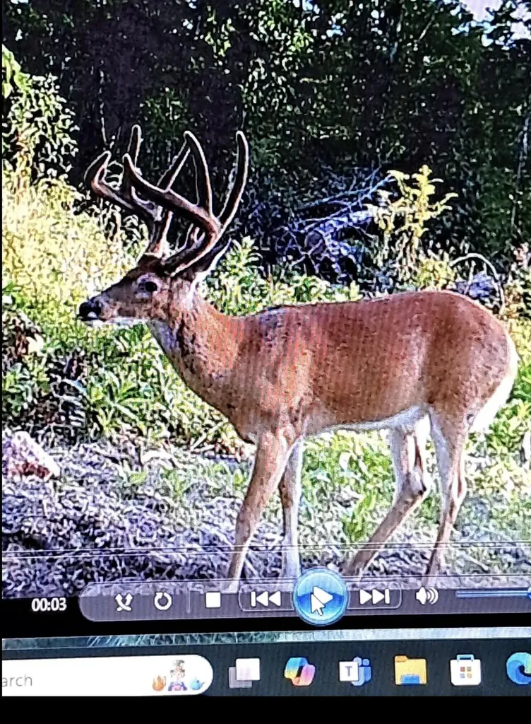1105 Pendleton Branch Road Salt Lick KY 40371