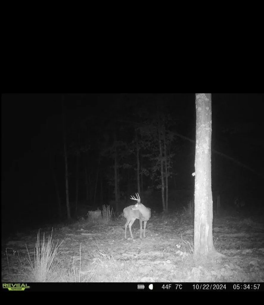 1105 Pendleton Branch Road Salt Lick KY 40371