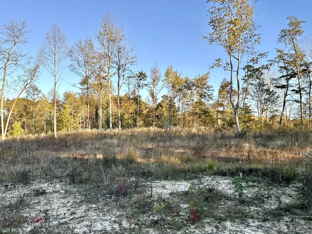 1105 Pendleton Branch Road Salt Lick KY 40371
