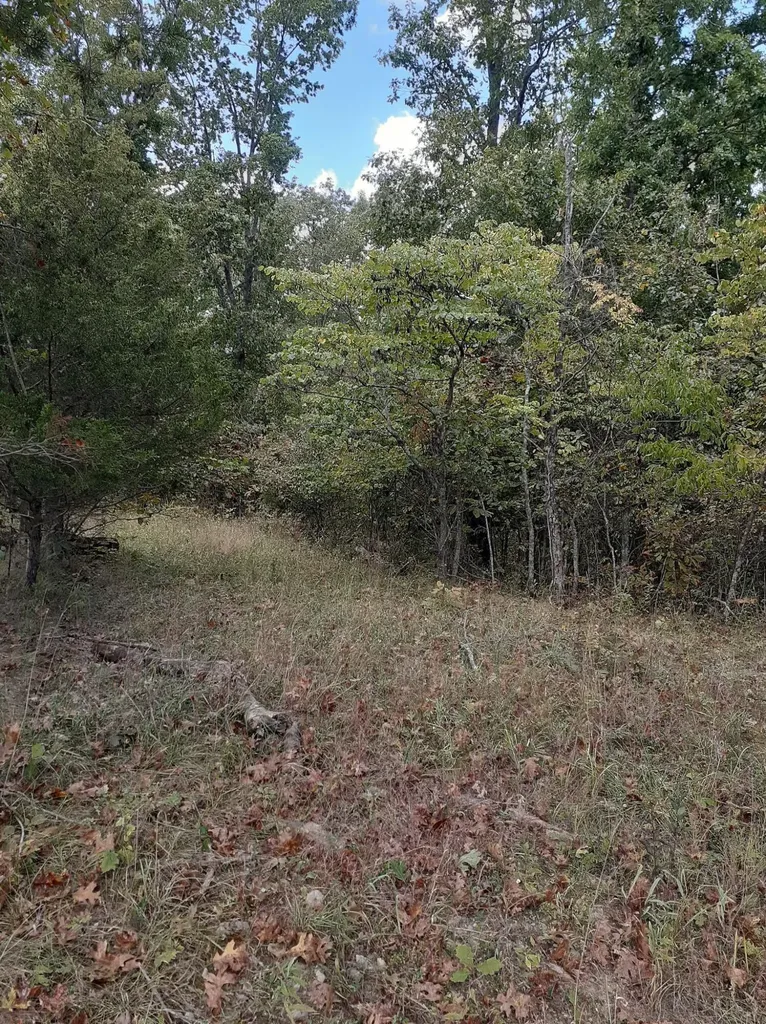 Lot 15 Apple Lane Cynthiana KY 41031