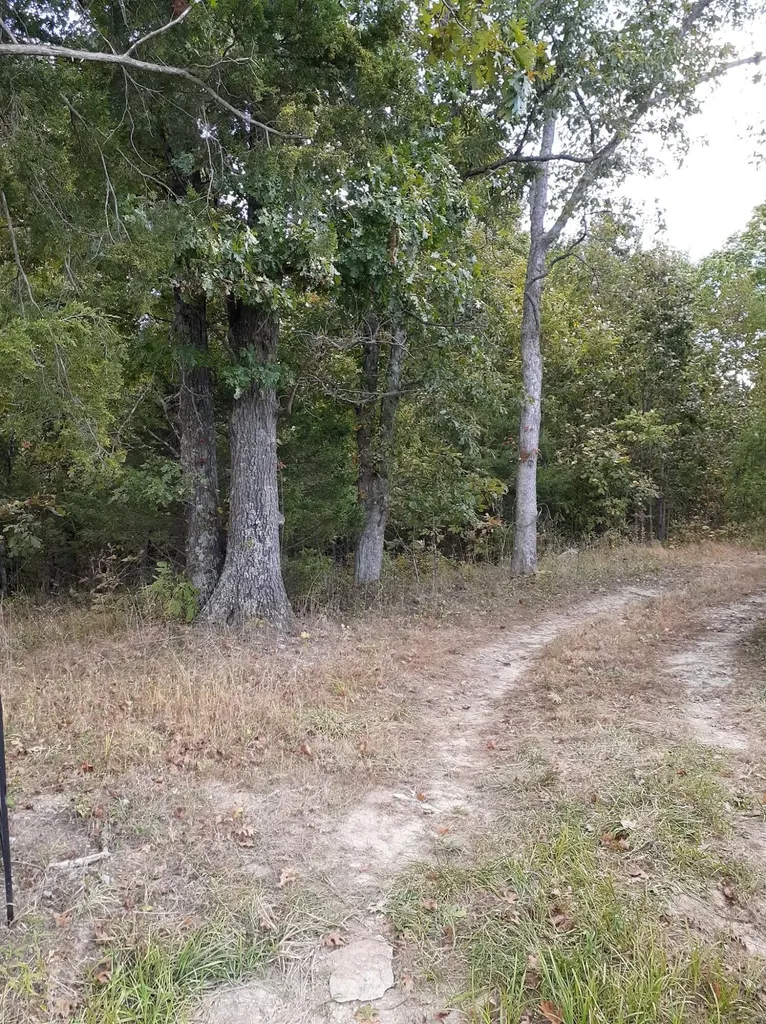 Lot 15 Apple Lane Cynthiana KY 41031