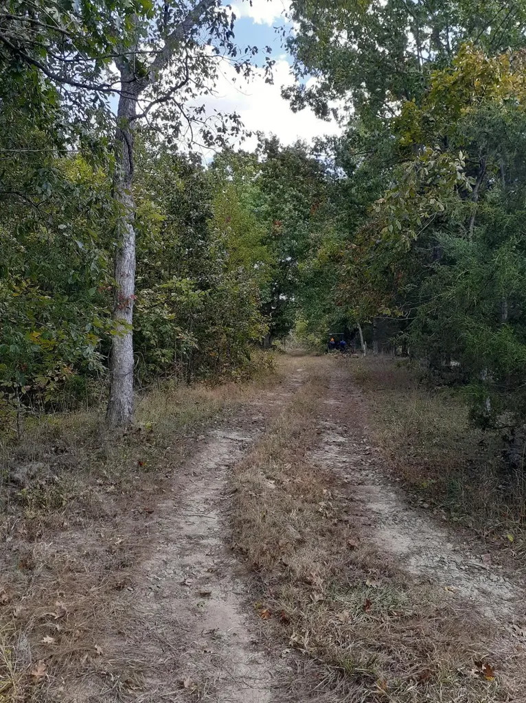Lot 15 Apple Lane Cynthiana KY 41031