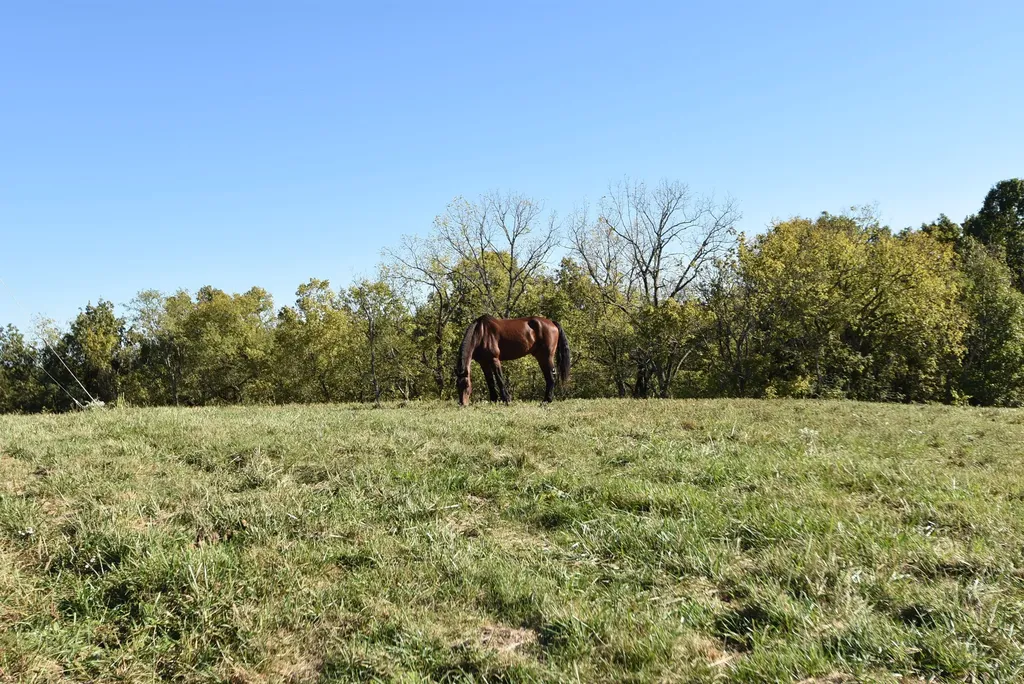 3979 Baker Ridge Road Willisburg KY 40078