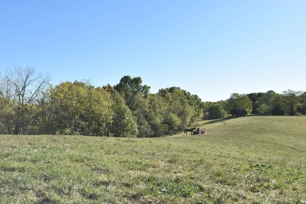 3979 Baker Ridge Road Willisburg KY 40078