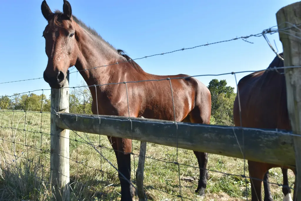 3979 Baker Ridge Road Willisburg KY 40078